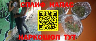гидра Будённовск