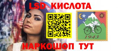 гидра Будённовск