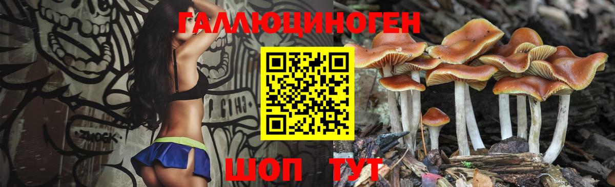 Галлюциногенные грибы MAGIC MUSHROOMS Семилуки